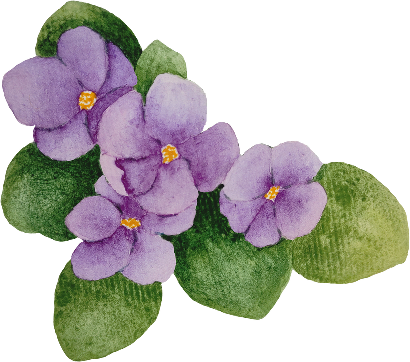 Watercolor Purple Violet Flowers