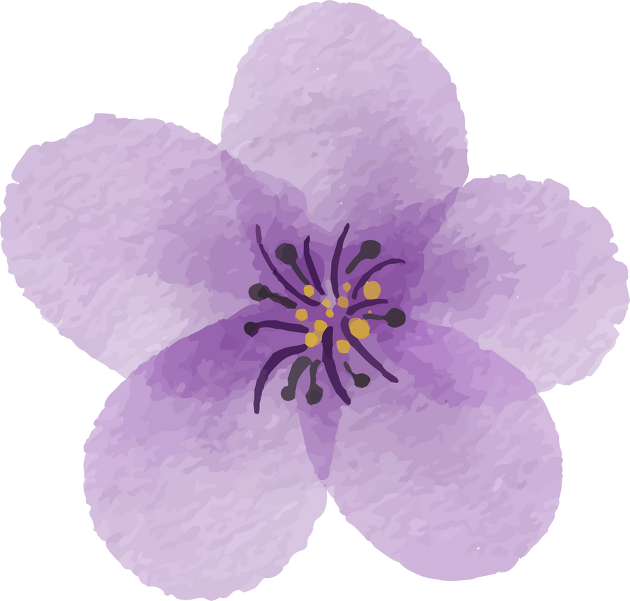 violet flower illustration