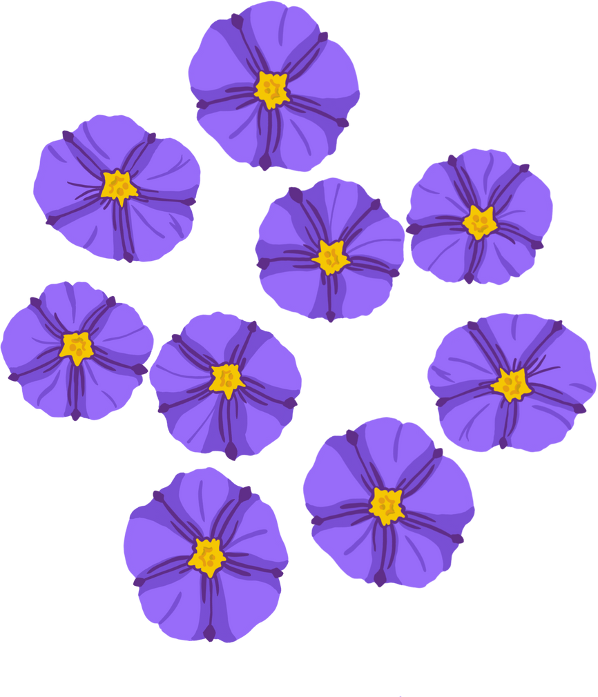 Bunch Of Violets